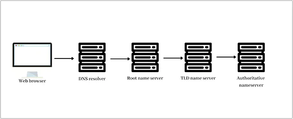 DNS network chart 